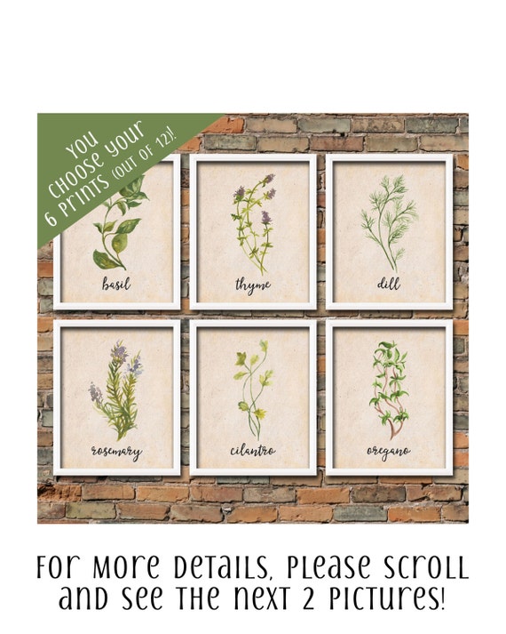 Vintage Herb Printable Wall Art Set 6 Custom Herb Prints Old Etsy