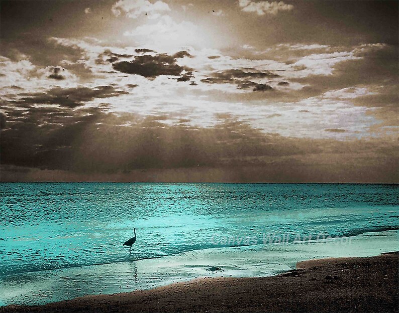 Evening Serenity Brown or Gray Background Bedroom Bathroom Home D\u00e9cor Wall Art Pictures Canvas Wrapped Picture Teal D\u00e9cor