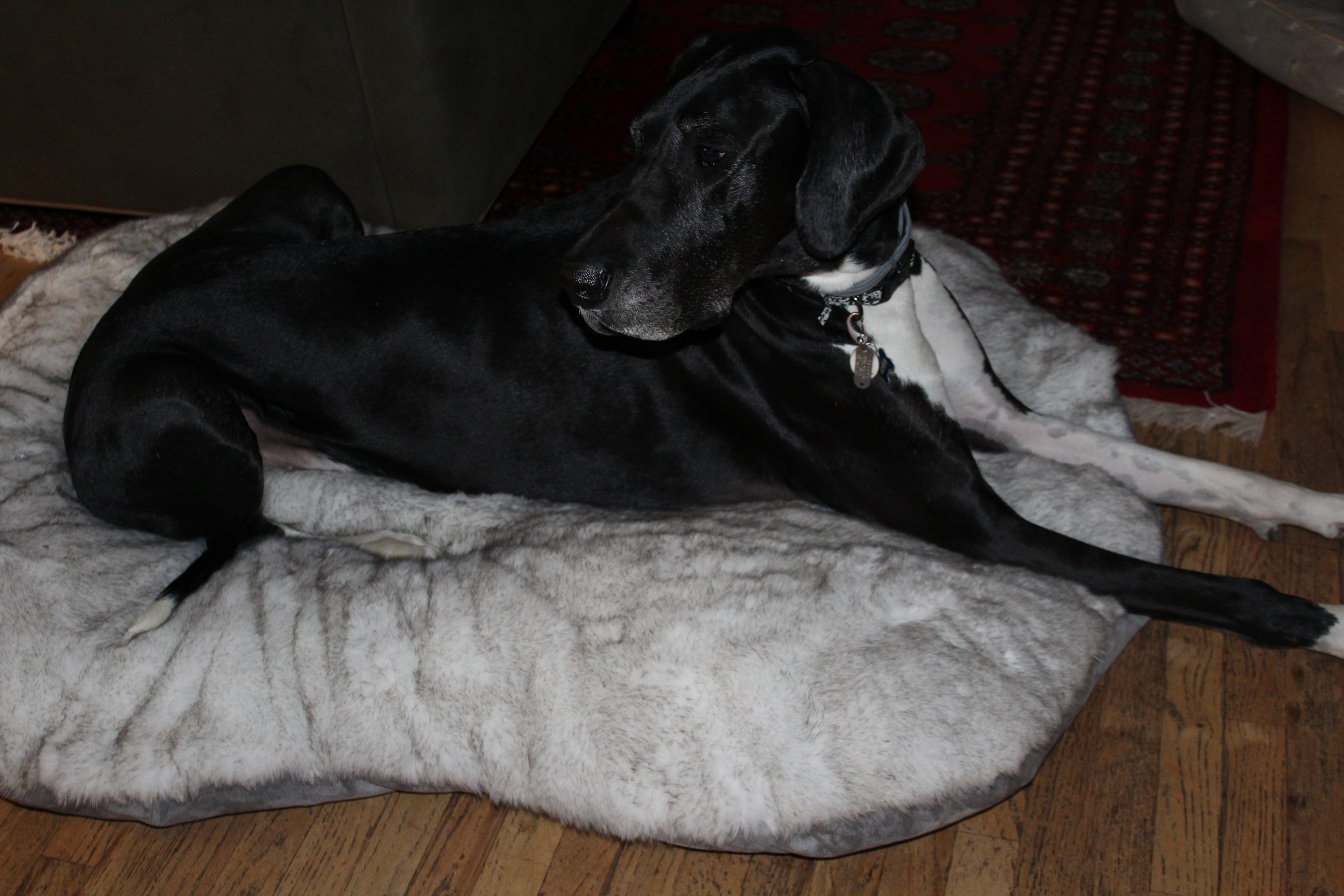 Large/Extra large faux fur dog bed