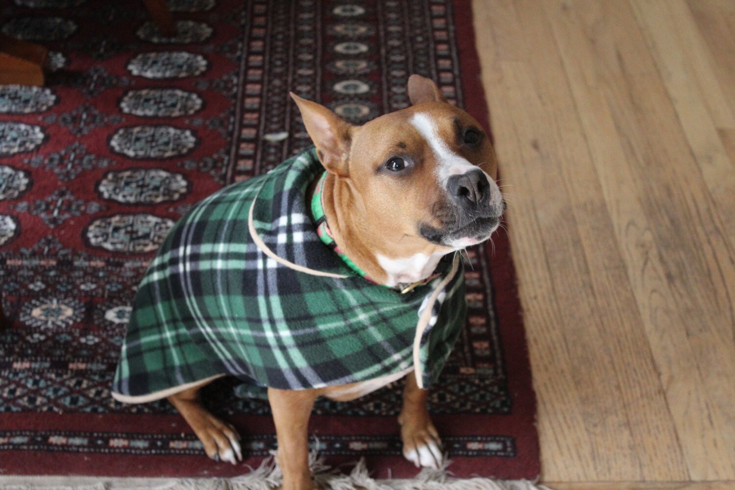 Dog coat Fleece dog coat dog winter coat extra small dog clothes