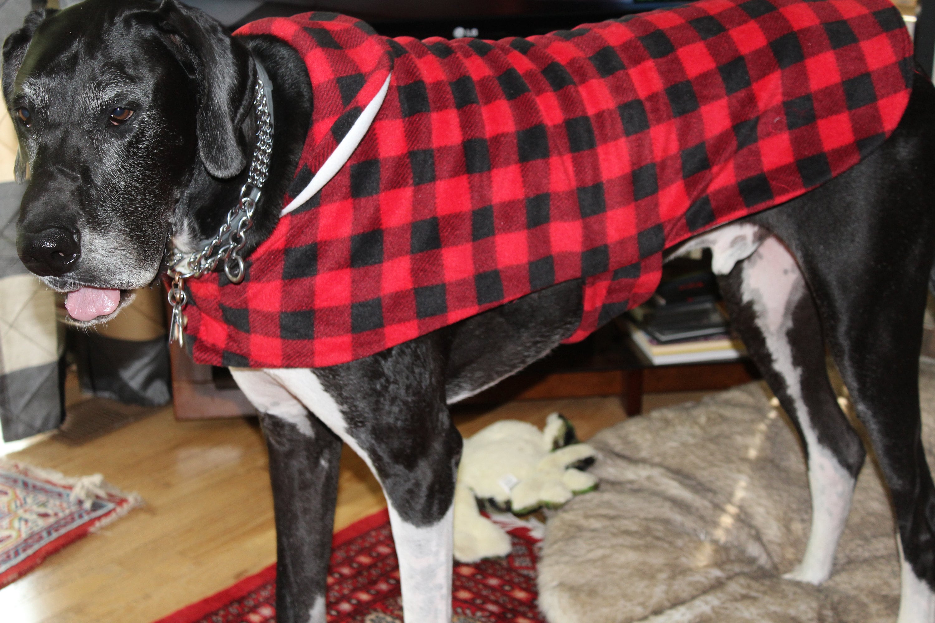 Custom made Dog coat fleece dog coat dog winter coat large dog