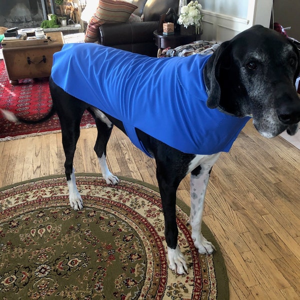 Dog Raincoat - Etsy