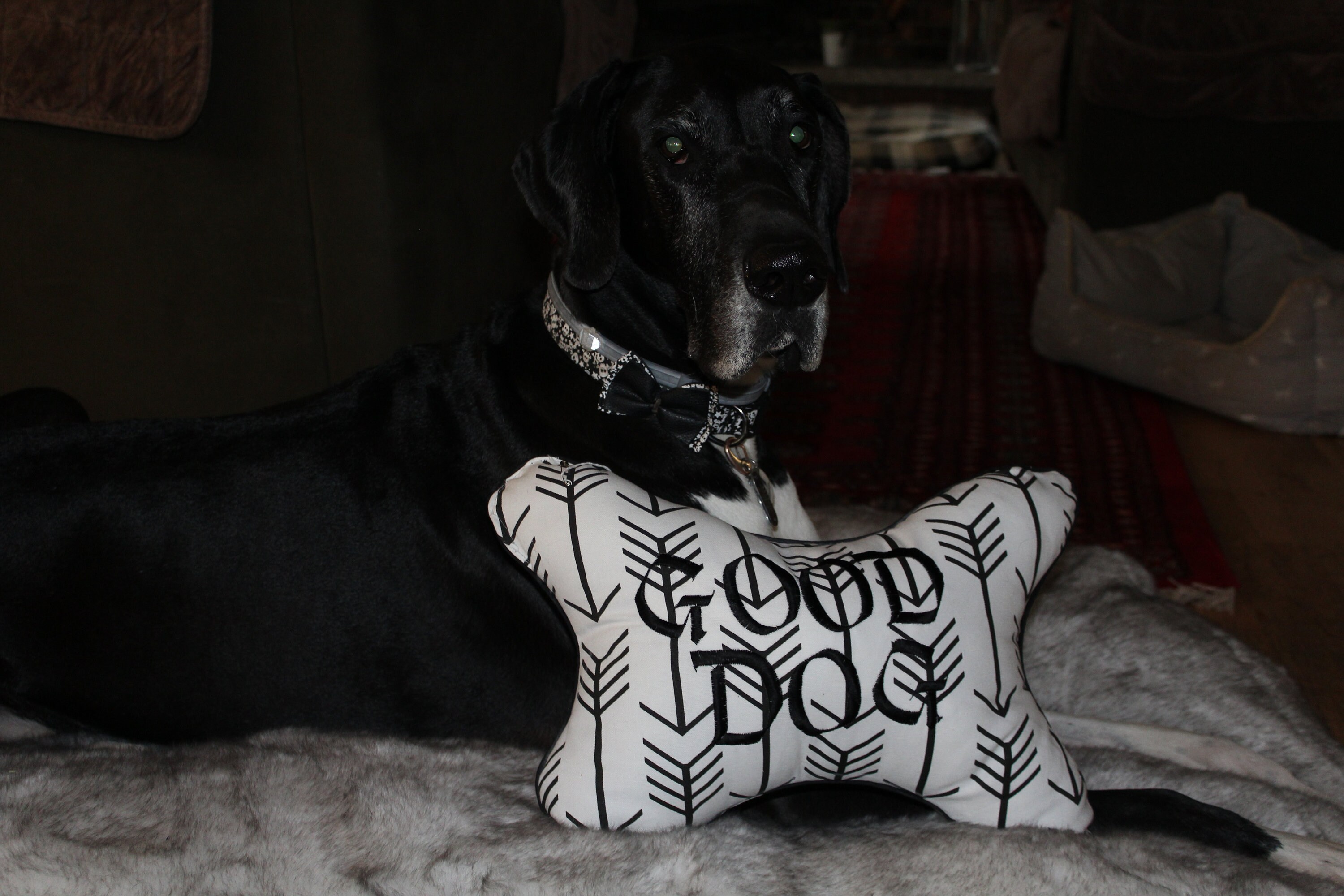 Large/Extra large faux fur dog bed