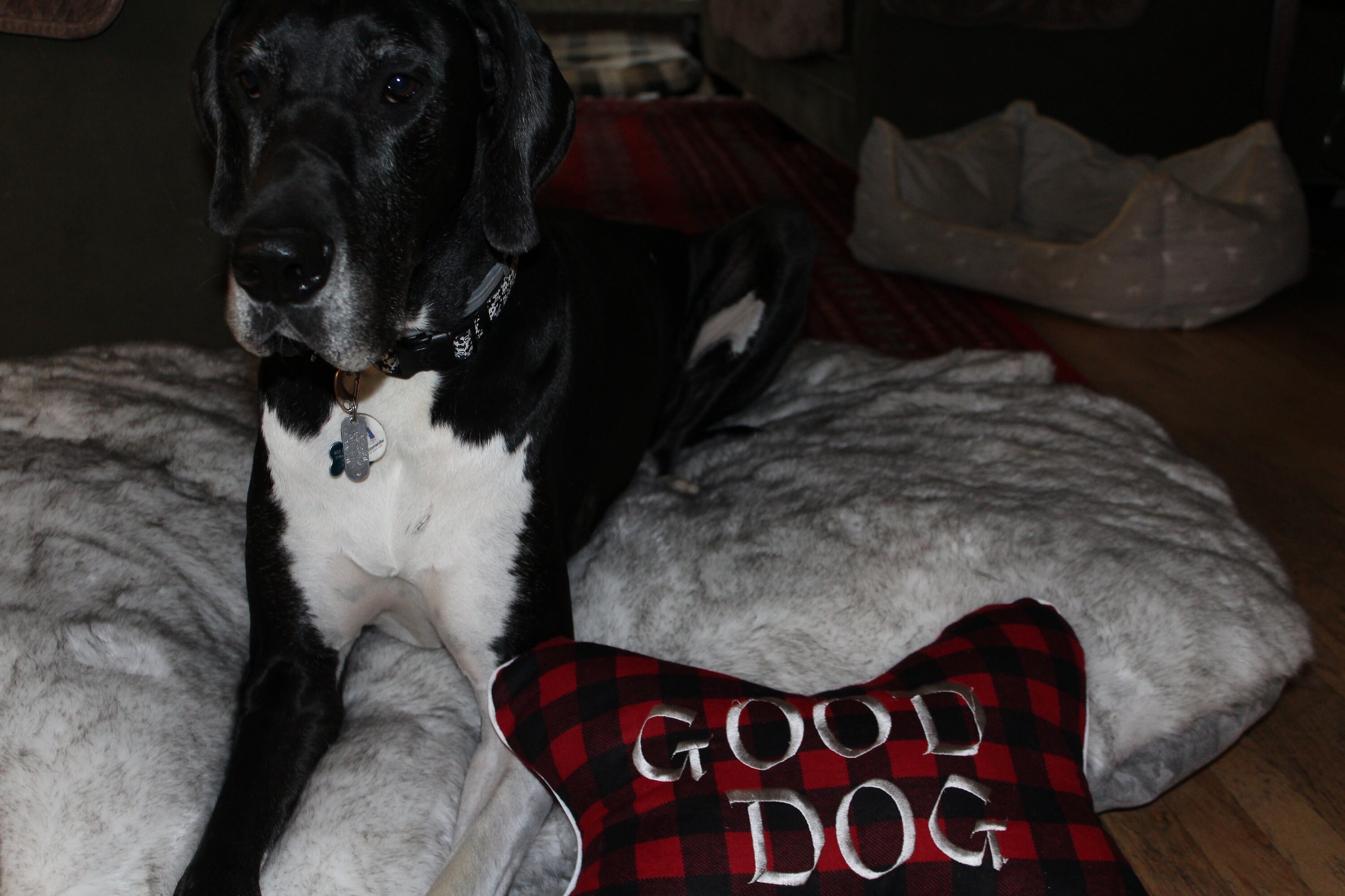 Large/Extra large faux fur dog bed