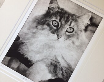 Custom Pet Portrait, Vintage Style Letterpress Cat Art Print