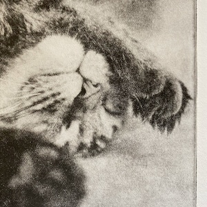 Custom Cat Memorial With Portrait Etched Print From Your Photograph. Perfect Pet Memorial Gift For Him or Her.