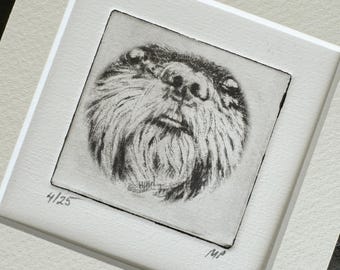 Custom Shih Tzu Portrait: Handmade Dog Art Print, Pet Memorial Gift