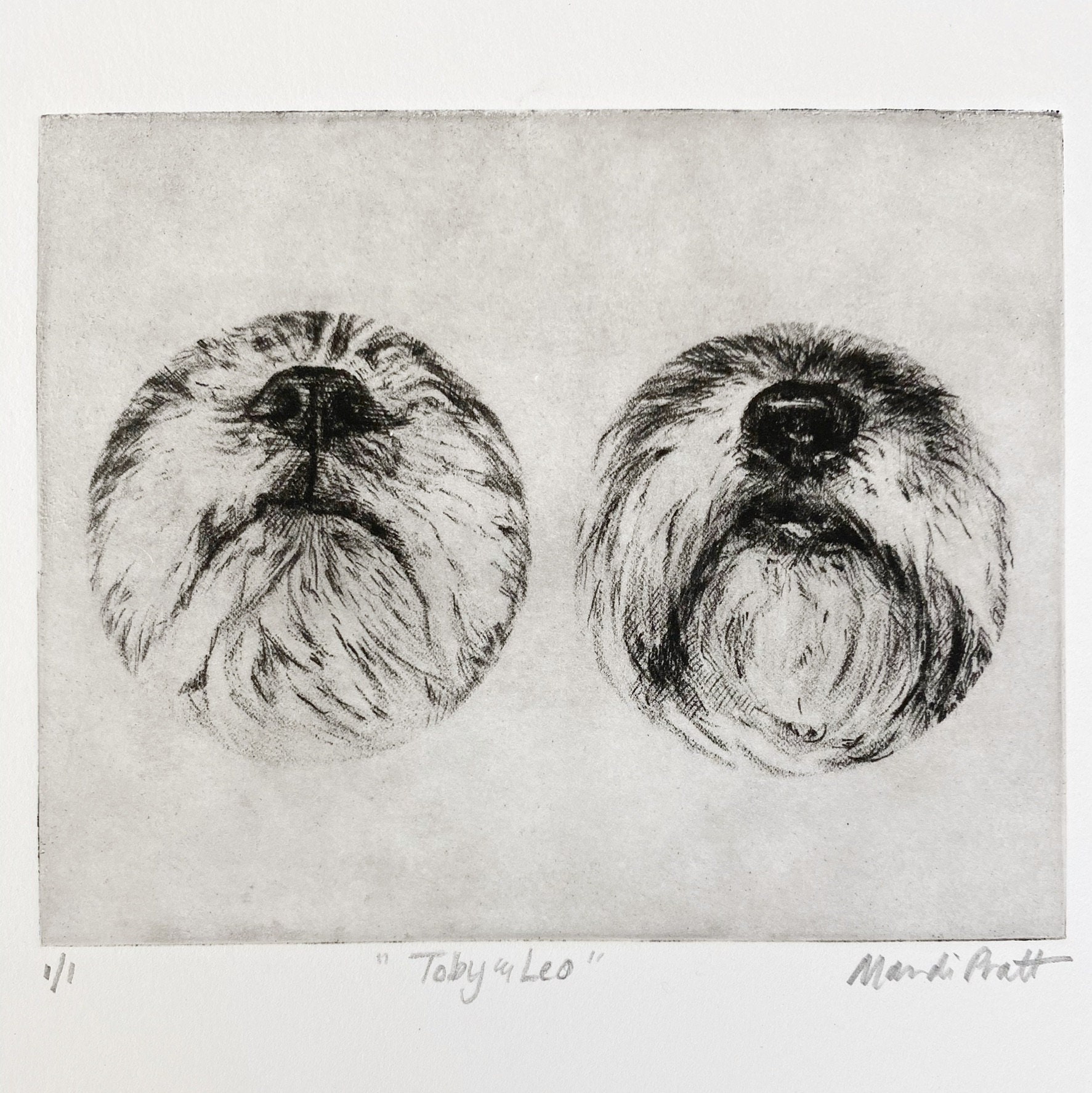 Malteser Hunde Erinnerung Geschenk Shih Tzu Sympathy Etsy