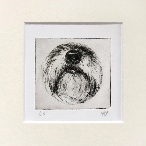 Lhasa Apso | Terripoo Art Small Nose Print Art Etching Print For Dog Lovers, Pet Parents, Gift Giving or as a Pet Memorial Idea