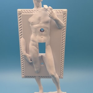 David of Michelangelo lightswitch cover....
