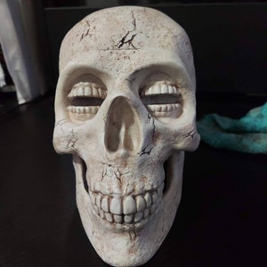 The Corinthians Skull Deck Box