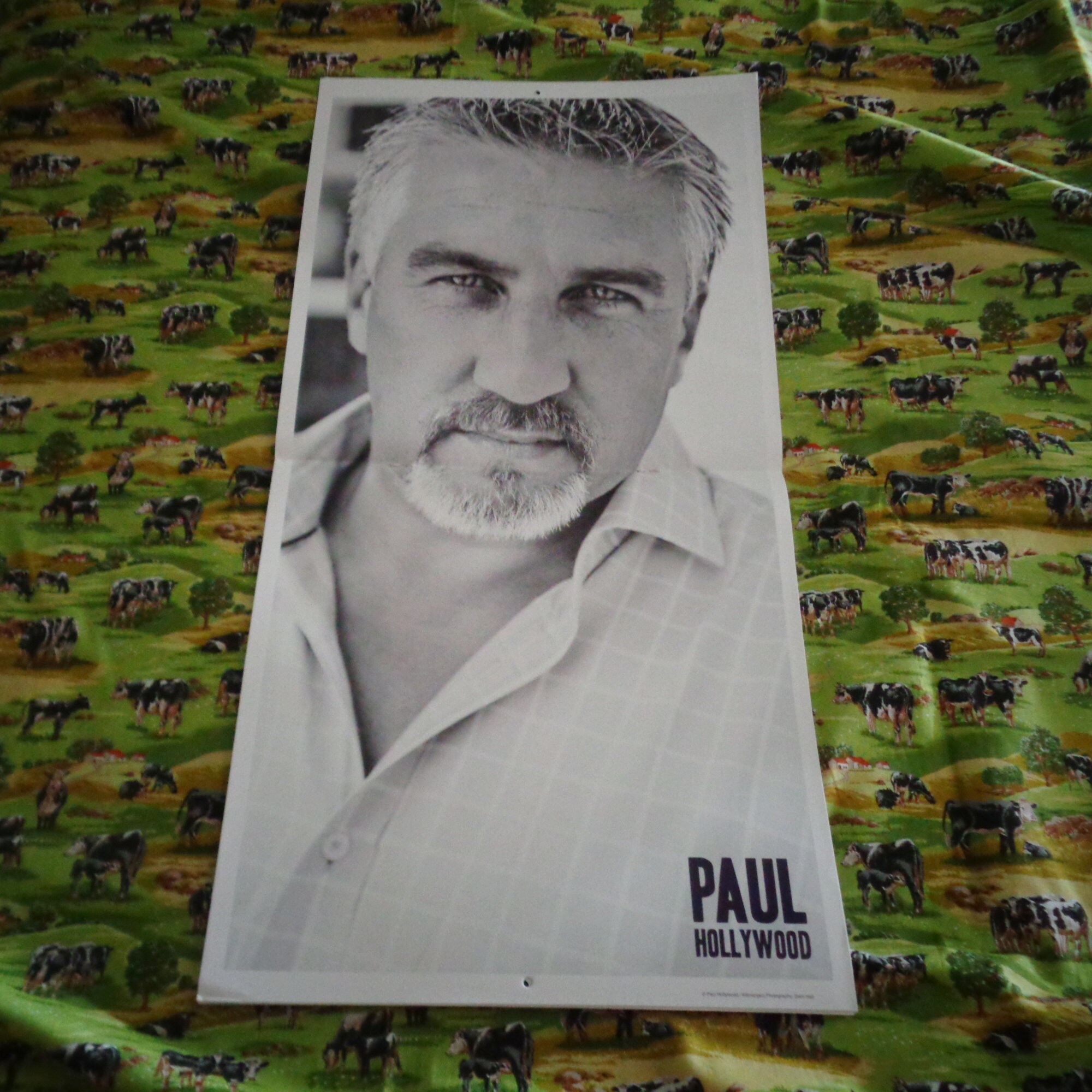 Rare Paul Hollywood Official 2016 Square Wall Calendar TV Etsy