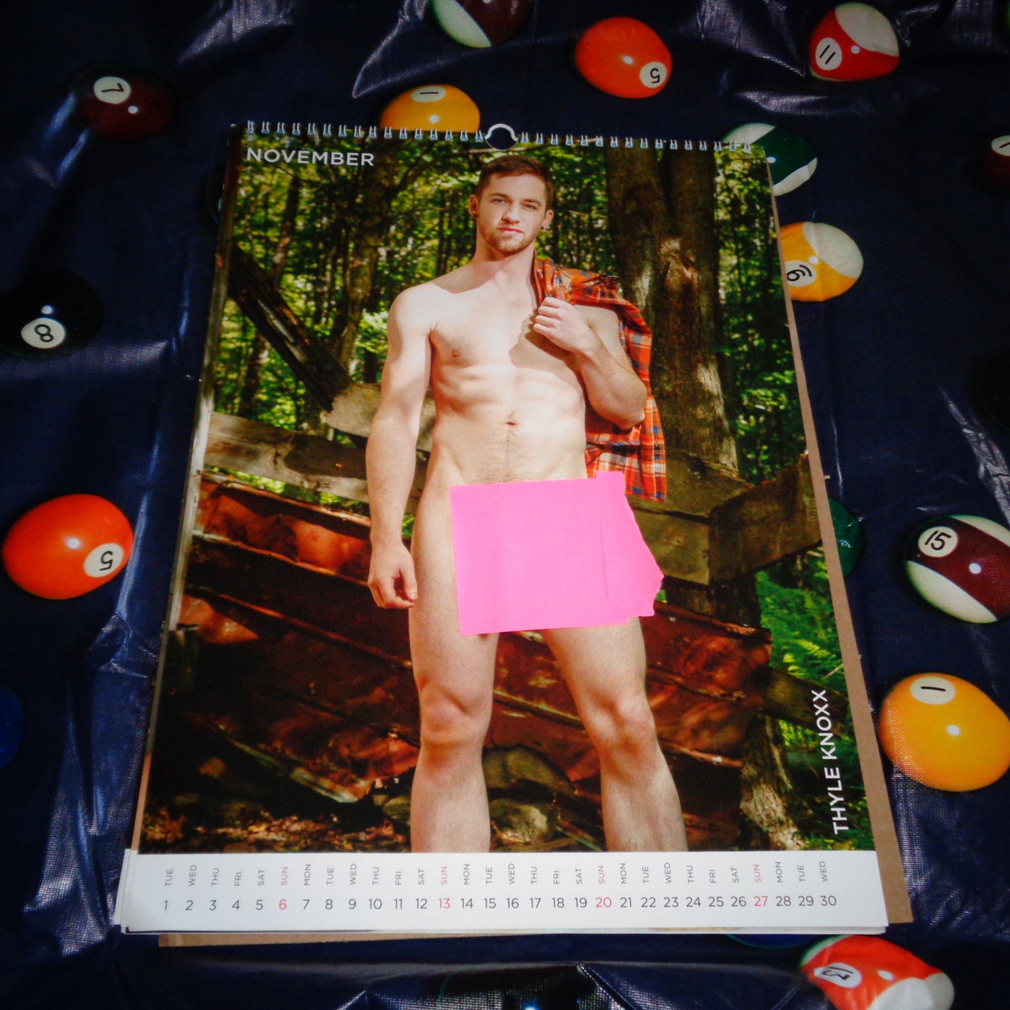 Seltene The Men Of Falcon Studios 2022 Kalender Farbbilder Gay - Etsy 