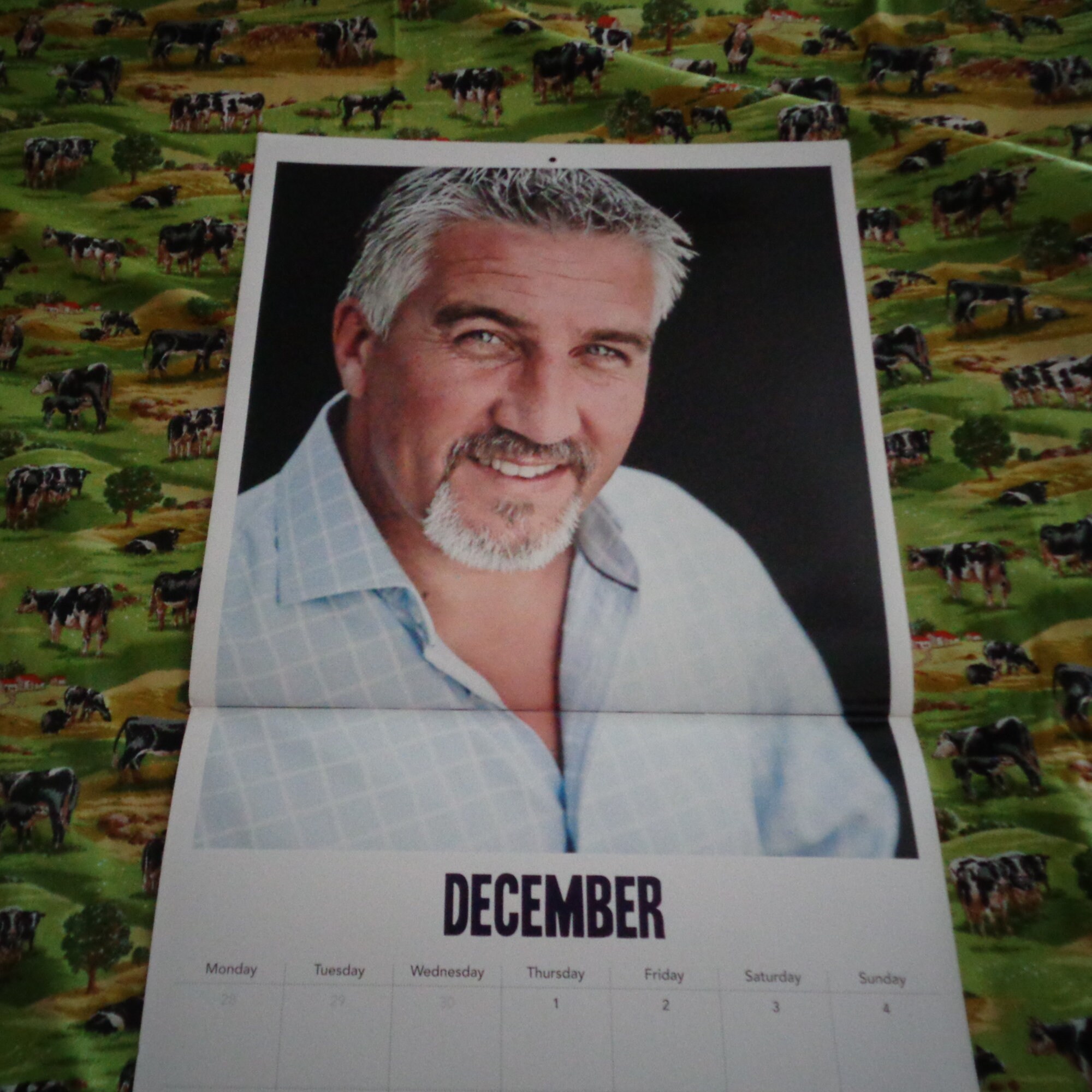 Rare Paul Hollywood Official 2016 Square Wall Calendar TV Etsy