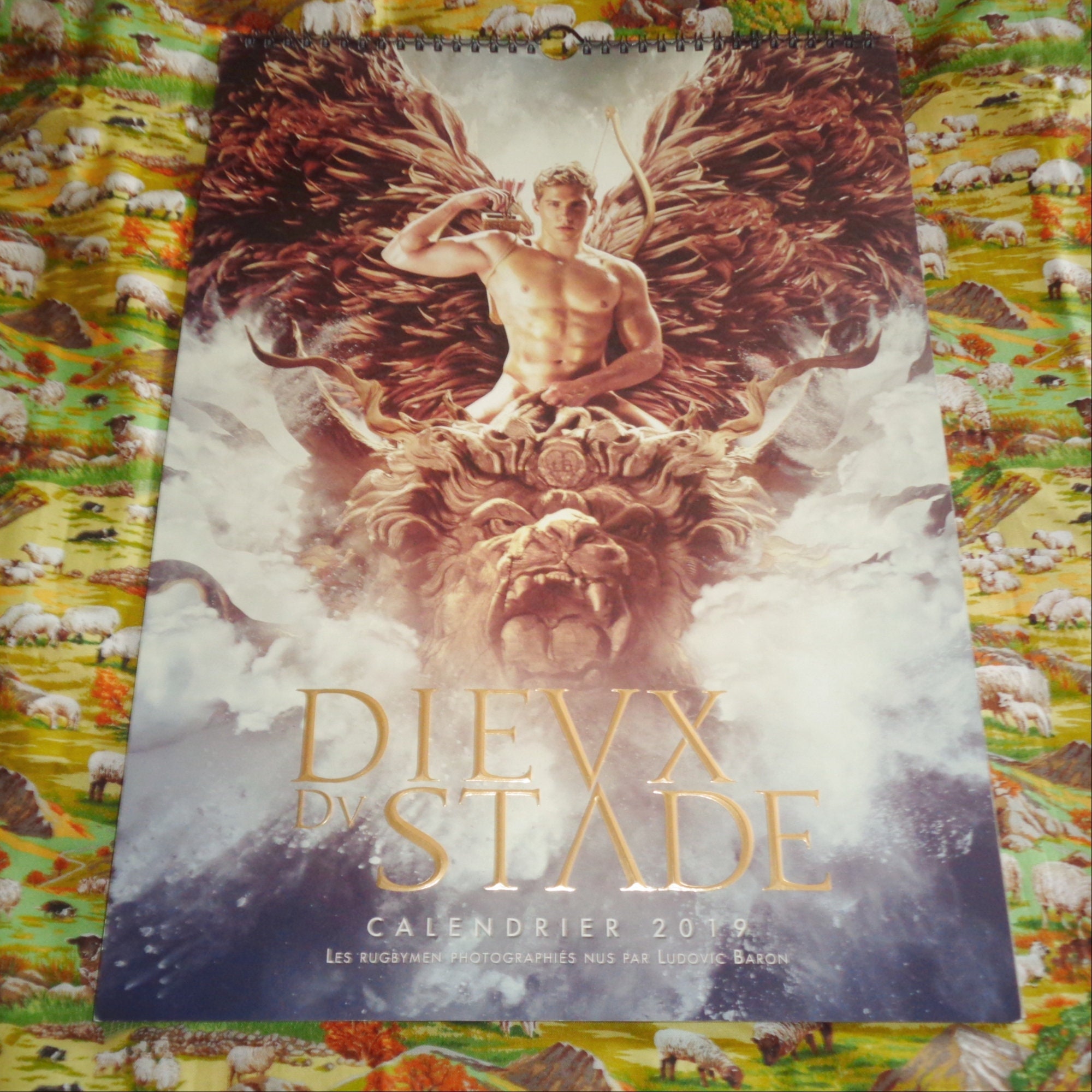 Rare Dieux Du Stade Gods of the Stadium Official 2019 Poster Etsy