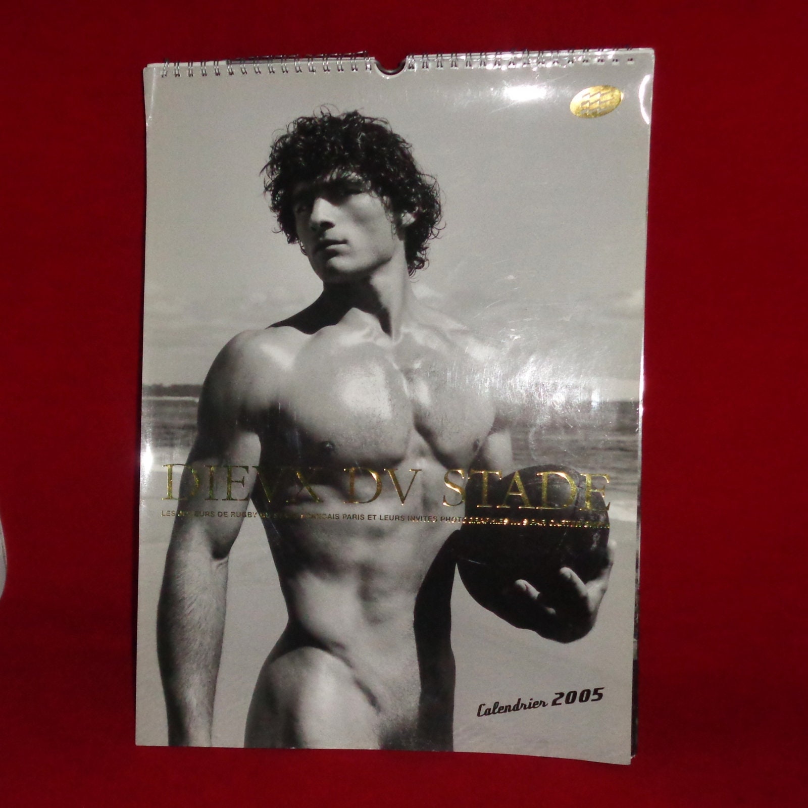 Rare Dieux Du Stade Gods of the Stadium Official Calendar French