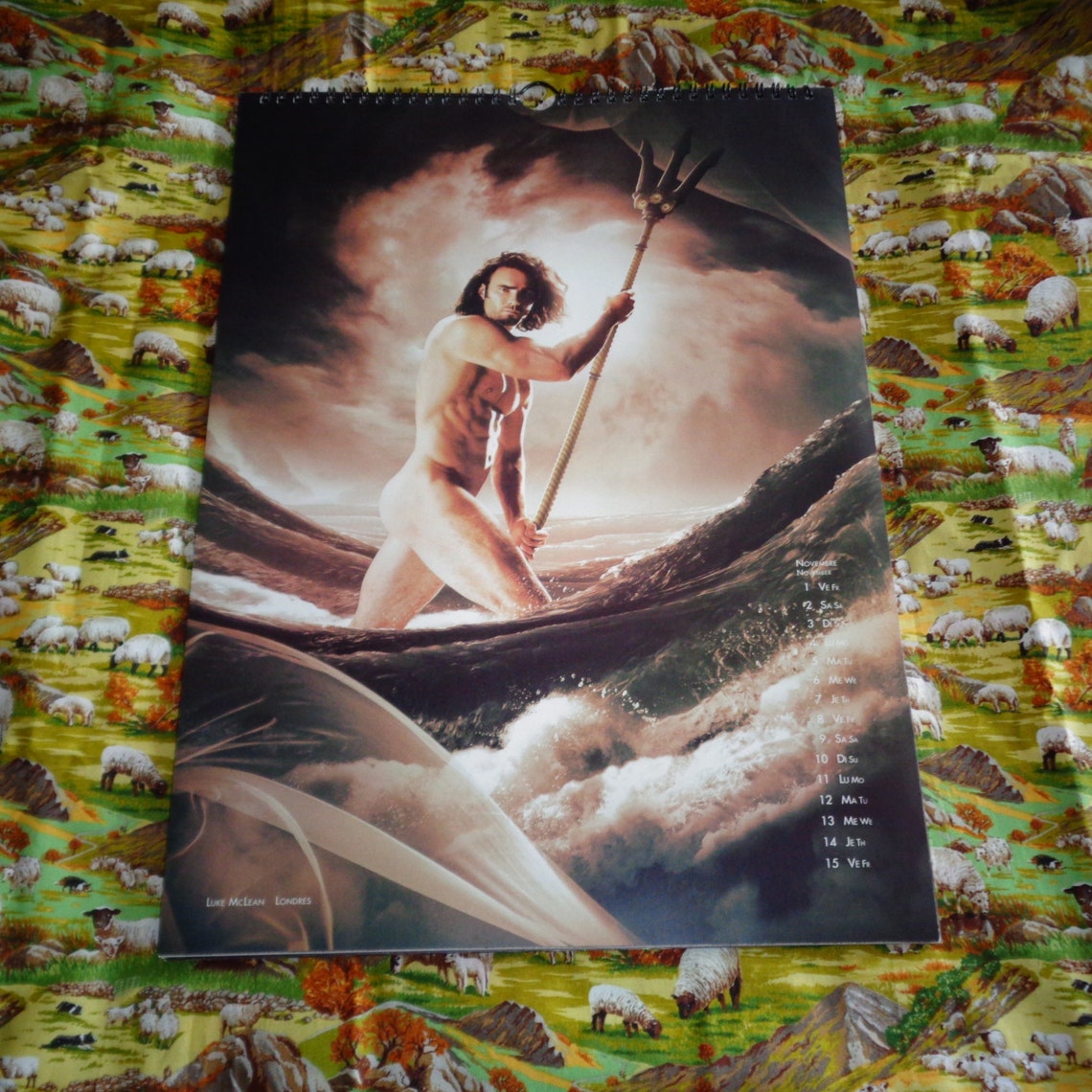 Rare Dieux Du Stade Gods of the Stadium Official 2019 Calendar Etsy UK