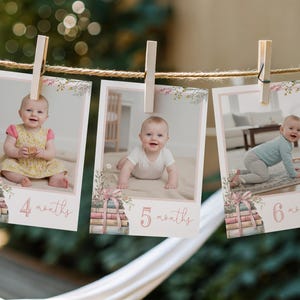 One for the Books Editable First Birthday Monthly Milestone Photo Cards Template, Editable Baby First Year Monthly card, Corjl