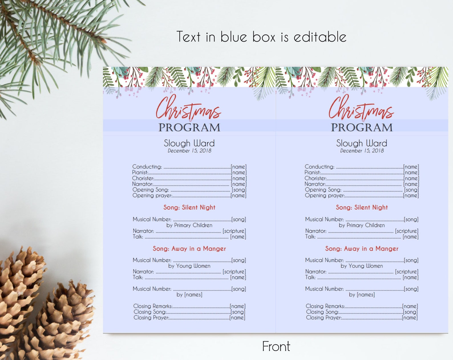 Christmas Program Editable PDF Editable Template Editable Etsy