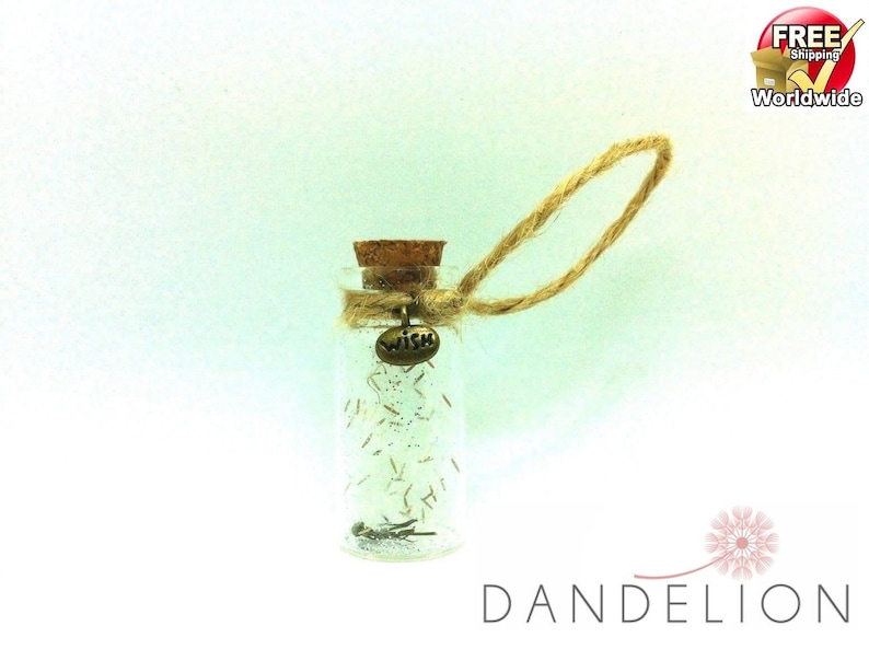 Real Dandelion Flowers Home Office Decor Perfect Gift Idea Valentine Thank You Little Bottle Brown Rope Bronze WISH Metal Charm