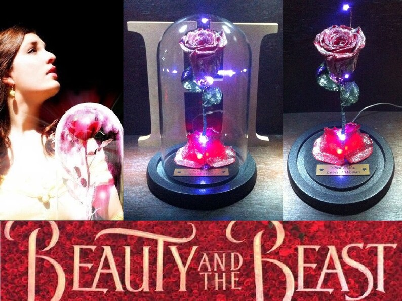 Beauty and The Beast Rose 100 Real Flower Glass Jar Dome Etsy