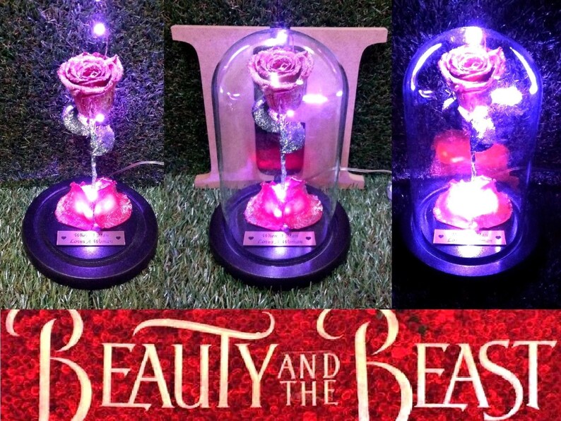 Beauty and The Beast Rose 100 Real Flower Glass Jar Dome Etsy