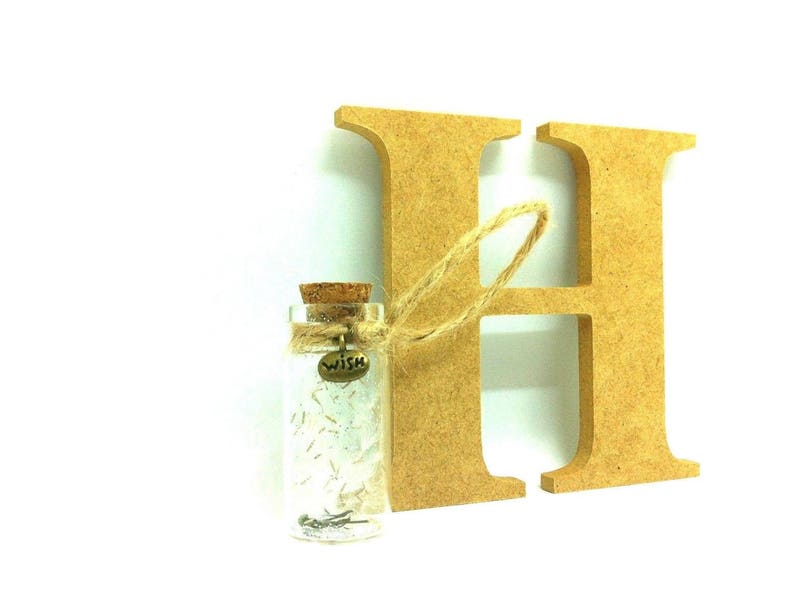 Real Dandelion Flowers Home Office Decor Perfect Gift Idea Valentine Thank You Little Bottle Brown Rope Bronze WISH Metal Charm