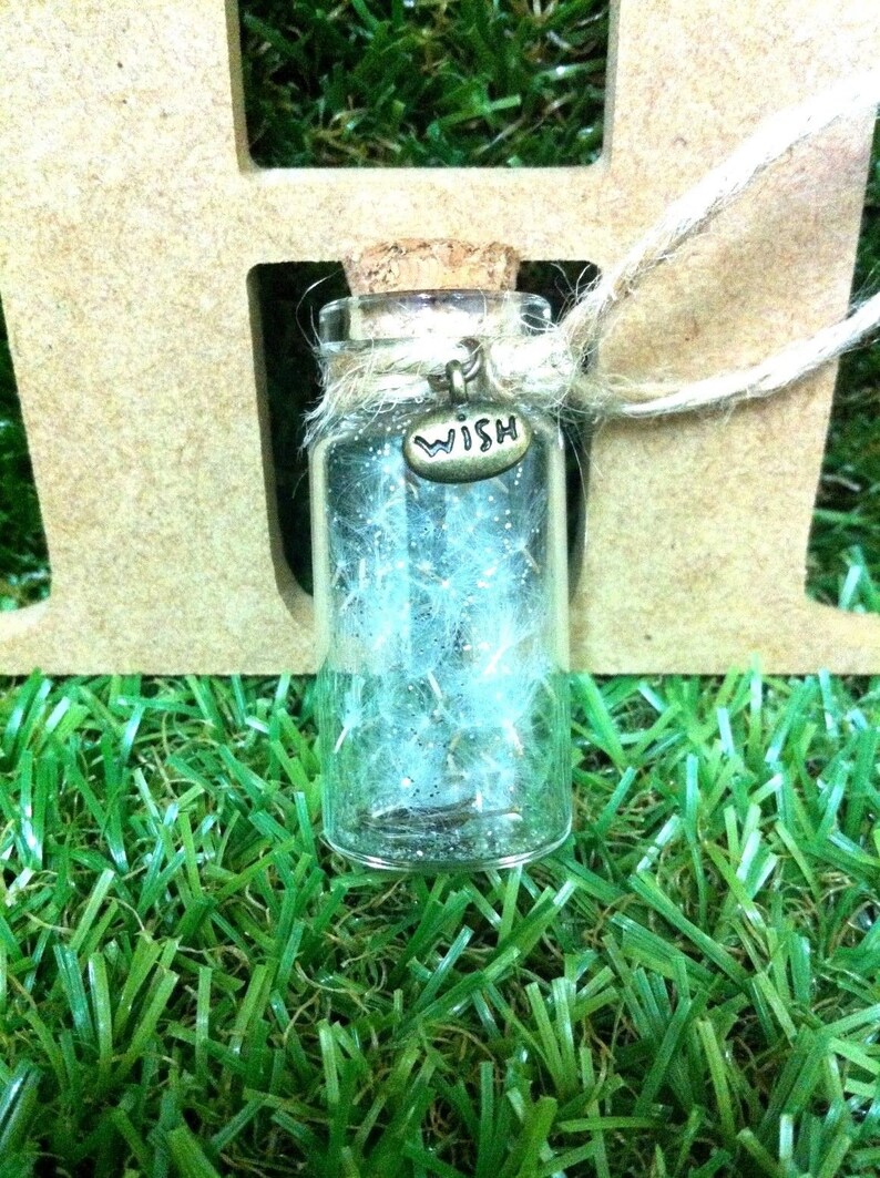 Real Dandelion Flowers Home Office Decor Perfect Gift Idea Valentine Thank You Little Bottle Brown Rope Bronze WISH Metal Charm