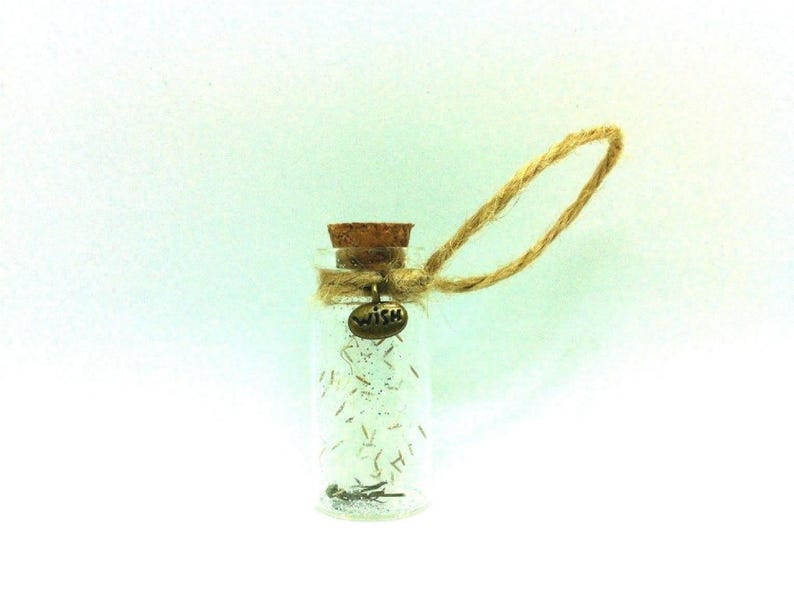 Real Dandelion Flowers Home Office Decor Perfect Gift Idea Valentine Thank You Little Bottle Brown Rope Bronze WISH Metal Charm