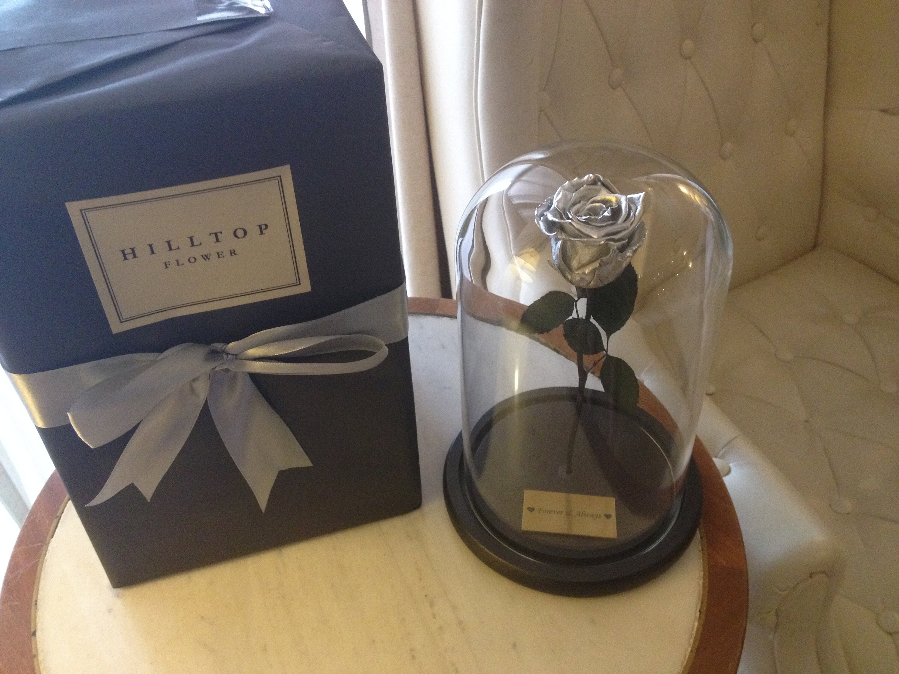 Beauty and The Beast SILVER Rose PotEnchanted RoseRose Glass | Etsy