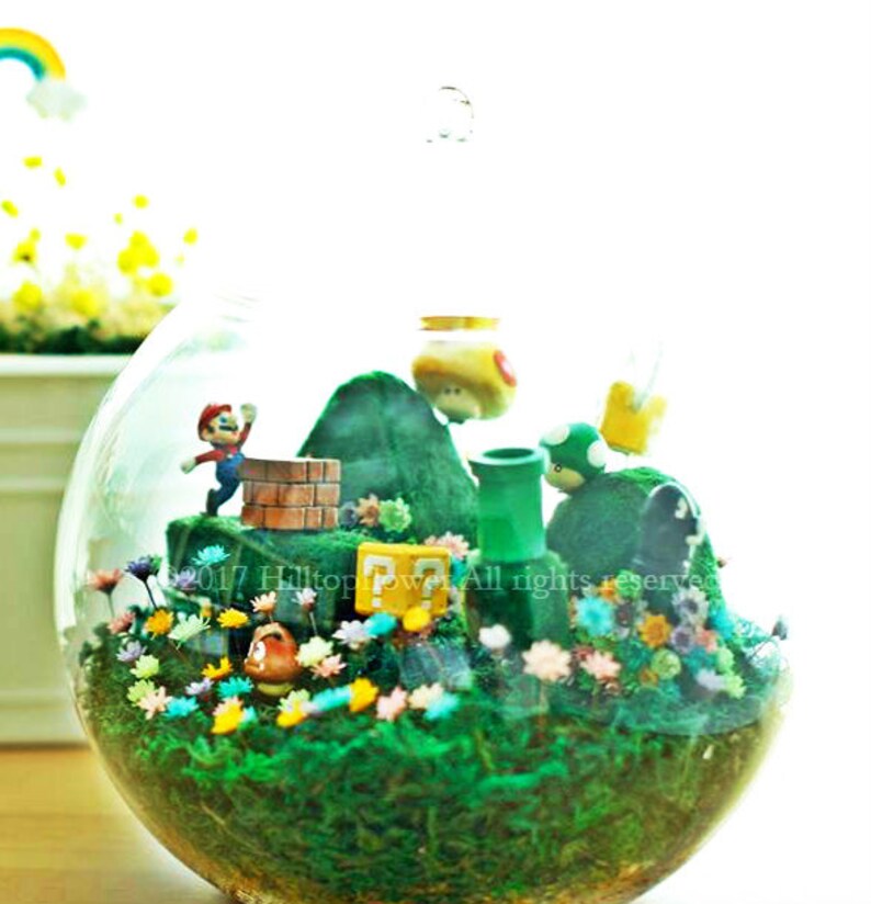 Mushroom Bricks Bowser Lasts 10 Years Magic Garden Real Magic Frozen Flowers Giant Huge XL Round Vase Pot Super Mario Bros Figure
