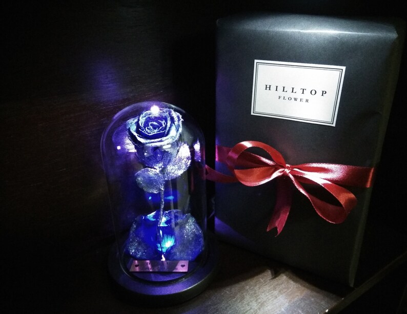 Beauty and The Beast Rose 100 RUBY Blue Real Flower Glass Etsy