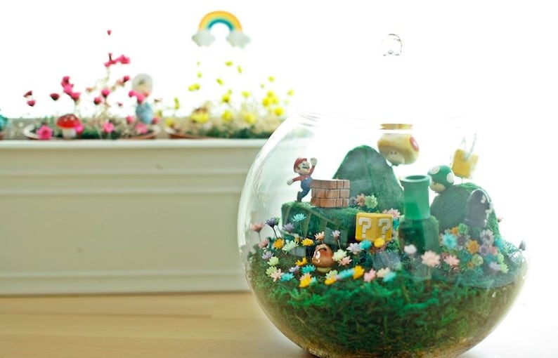 Mushroom Bricks Bowser Lasts 10 Years Magic Garden Real Magic Frozen Flowers Giant Huge XL Round Vase Pot Super Mario Bros Figure