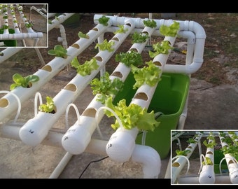 Homemade NFT Hydroponic Table