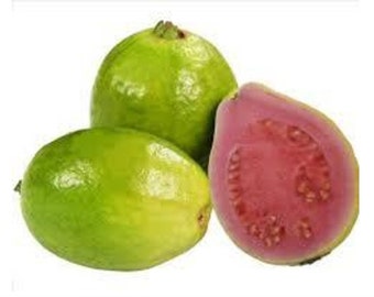 Red Tropical Guava Psidium guajava seeds 2 Packets