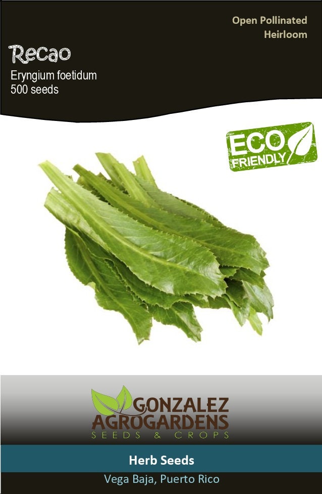 Featured image of post Recipe of Recao Substitute