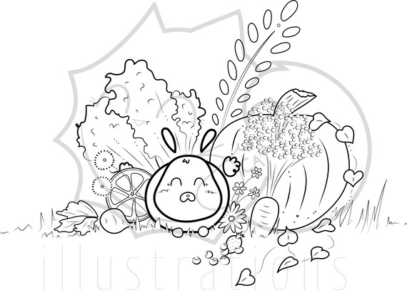 Download Fruit Bunny Coloring Book Pages Adults And Kid Digital Etsy