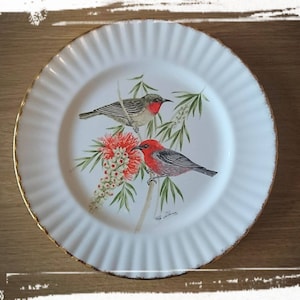 Vintage Collectable Plate Royal Vale Bird Scarlet Honeyeater Display Plate Birds of the World Collection
