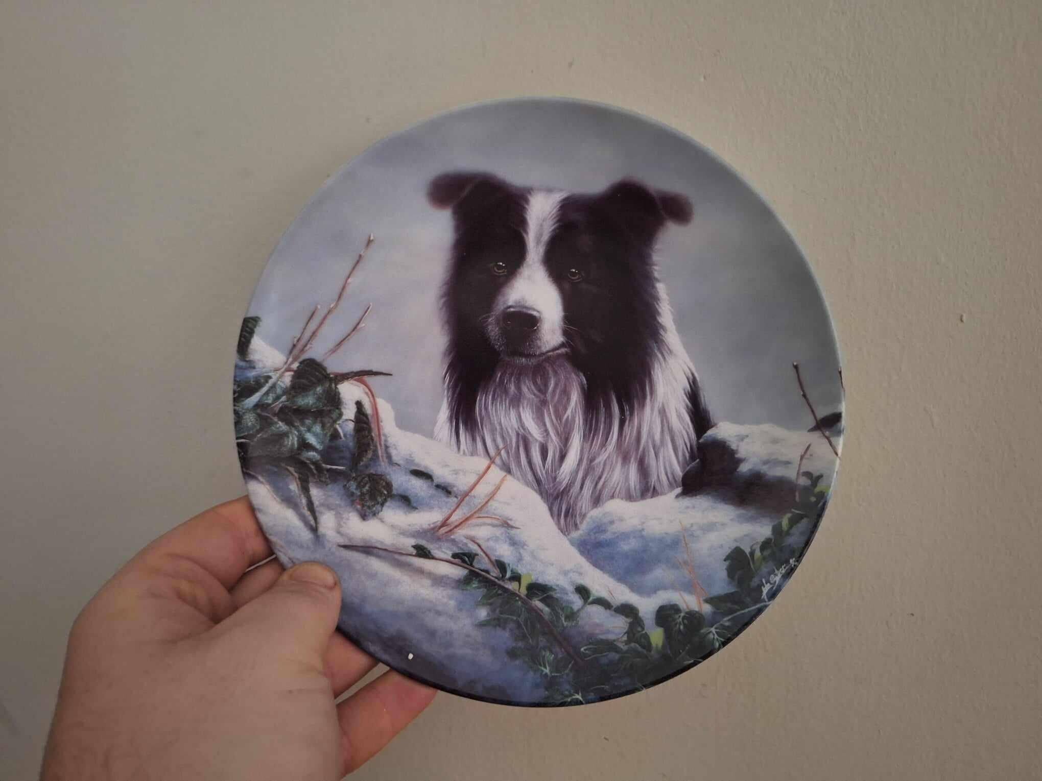 Winter Watch Danbury Mint Border Collie Plate by John Silver