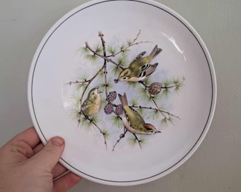 May include: White ceramic plate with a black rim, featuring a detailed illustration of three small birds perched on pine branches with pine cones. The birds have green, brown, and yellow feathers. The plate is held by a hand.