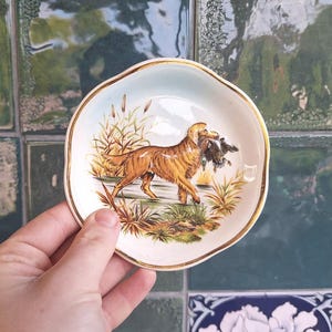 Palissy Royal Worcester - Etsy