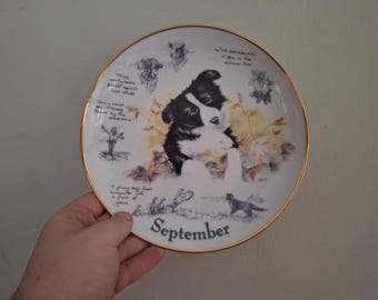 Border Collie Collector Plate 'November' by Paul Doyle | Danbury Mint | Limited Edition Dog Art Plate | COA Included | 2000s Vintage Gift