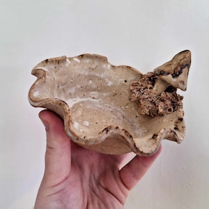 Può includere: Un piccolo piatto in ceramica con un bordo ondulato e un manico a forma di fungo. Il piatto è smaltato in un colore marrone chiaro con macchie bianche.
