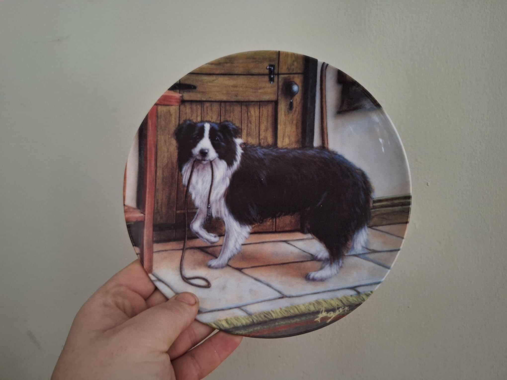 Taking the Lead Danbury Mint Border Collie Plate | John Silver