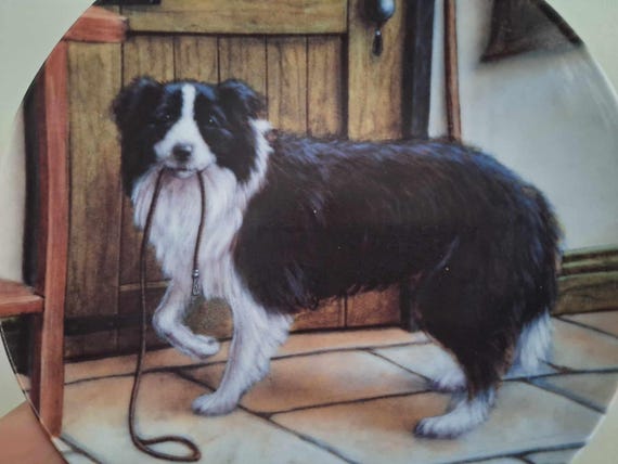 Taking the Lead Danbury Mint Border Collie Plate | John Silver