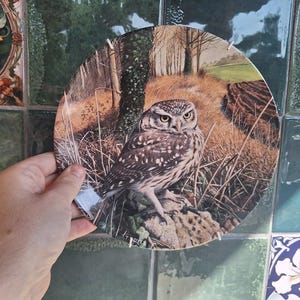 May include: A round decorative ceramic plate featuring a detailed illustration of a brown and white owl perched on a rock. The background depicts a grassy field with trees and foliage in shades of brown, tan, and green. The artist signature T. Boyer is visible.