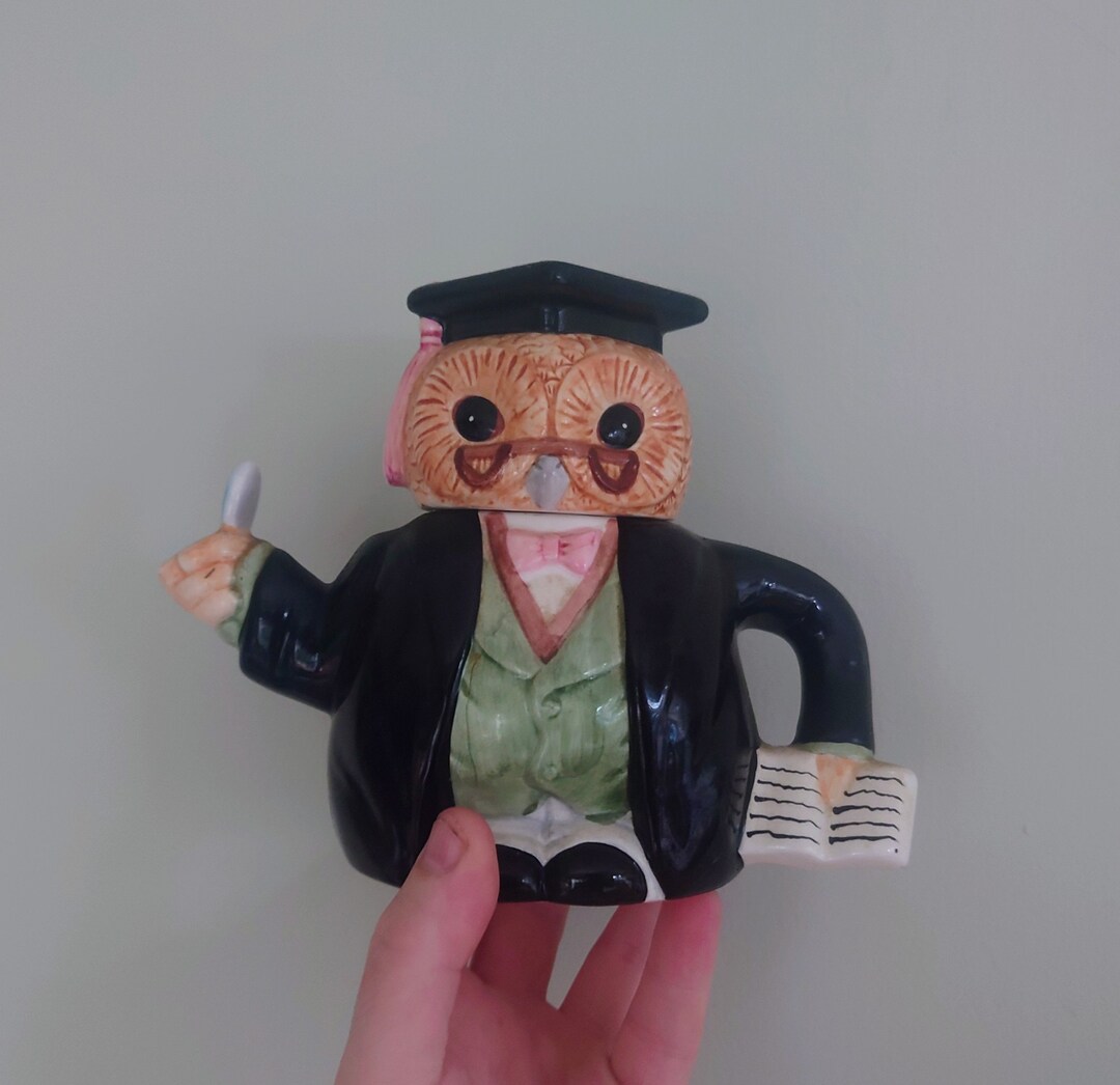 Vintage Owl Teapot Novelty Graduation Teapot Ceramic Teapot Etsy