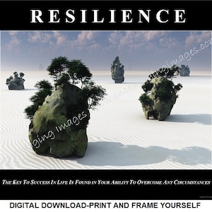 DOWNLOAD,Motvational Poster,Zen,bonzai,Resilience,Wall art,Meditation,motivation,poster,canvas,Office décor,Personalization Available