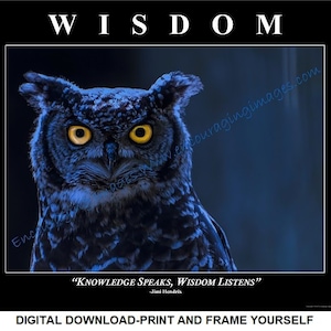 DOWNLOAD,Motivationsposter,Eule,Eule,Eulendruck,Motivationsdruck,Motivationskunst,Büro Wandkunst,Weisheit,Personalisierung verfügbar