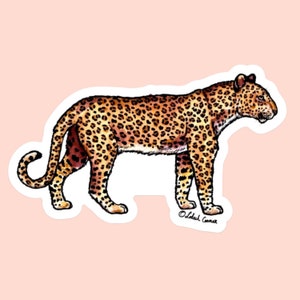 African Leopard Watercolor Wildlife Die-Cut Vinyl Sticker
